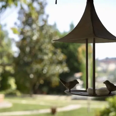 Casal Del Gelso Bed & Breakfast Priocca